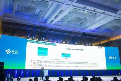 引領(lǐng)N型技術(shù)新浪潮，林洋能源發(fā)布高效N型單晶雙面組件