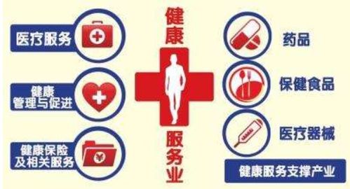 我國健康服務業發展面臨的問題與優化路徑