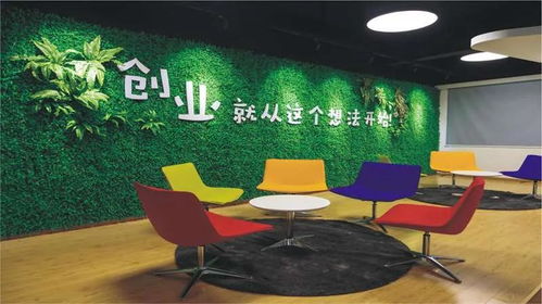 首發(fā) 2021年3+證書高考招生計(jì)劃公布——聚焦電腦網(wǎng)絡(luò)軟件技術(shù)開發(fā)領(lǐng)域